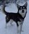 McGrath - Checkpoint on the Iditarod Trail