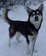 McGrath - Checkpoint on the Iditarod Trail